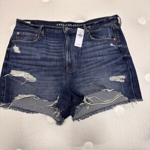 American Eagle Outfitters Dark Wash Distressed Jean Shorts